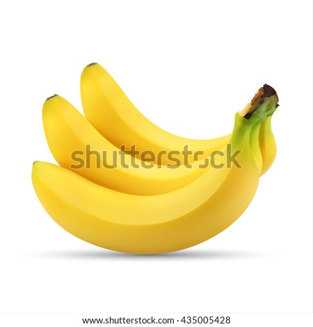 Realistic illustration of bunch of bananas isolated on white background, banana icon, banana image, vector illustration