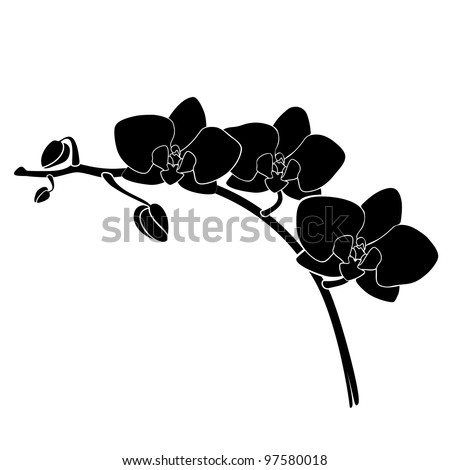 Vector orchid silhouette