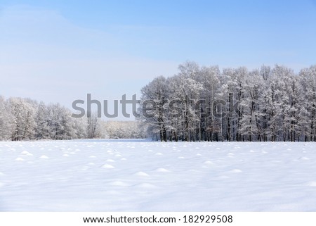 Winter landscape with snow