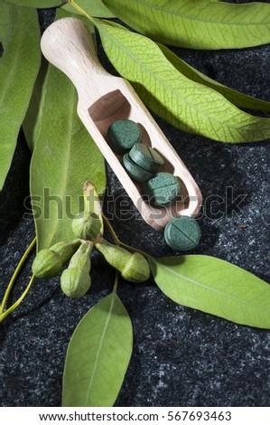 Traditional medicine: Green Eucalyptus leaves, seeds and pills in wooden scoop on wooden background