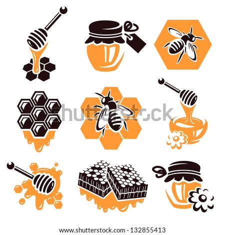 Honey set. Vector