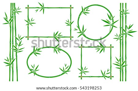 Bamboo frame collection set. Vector