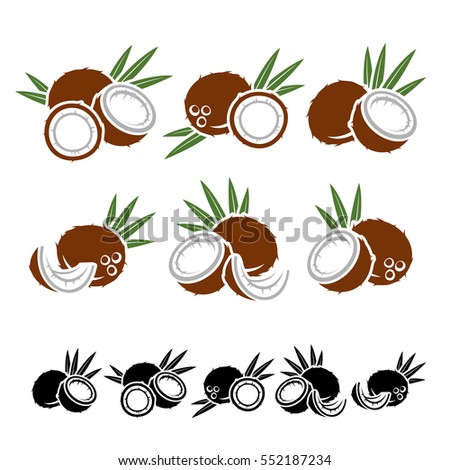 Coconut set. Vector