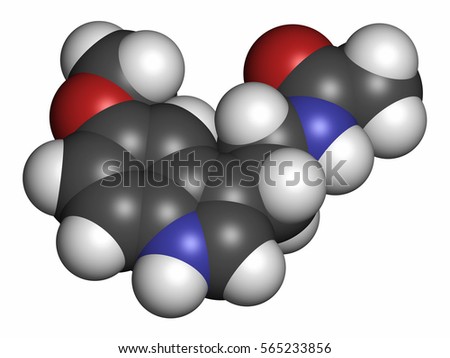 Melatonin and myeloma