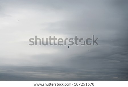 Overcast Sky Overcast Sky