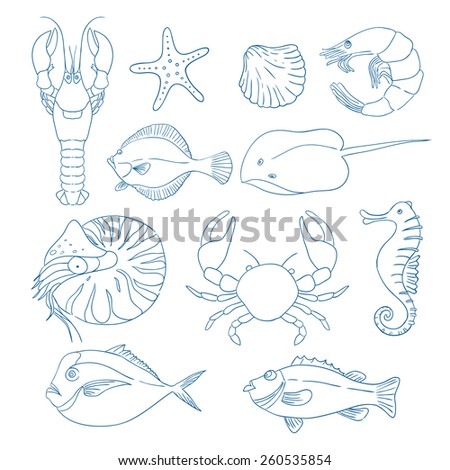 Handdrawn Sea Life Outline Icon Set Stock Vector 132347450 - Shutterstock