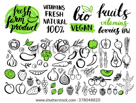 Vector handwritten food elements with rough edges. Healthy food. Farm natural product. Green market. Ink brush hand lettering. Fruits, berries and vegetables. Icon.