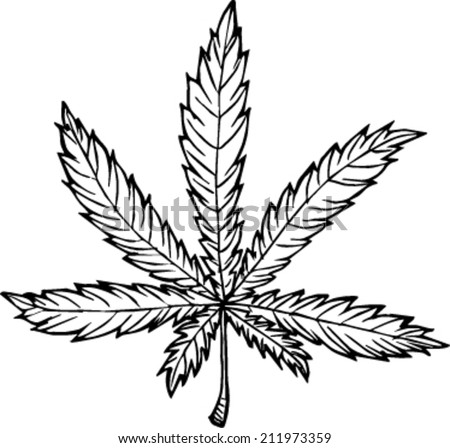 sketch sur le cannabis