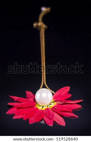 White pearls necklace on black background. Focus on the big pearl over red petals!