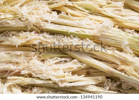 Sugarcane bagasse