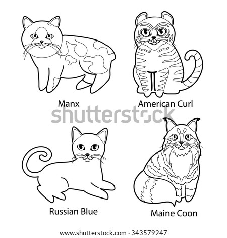 Download Manx Cat Stock Photos, Royalty-Free Images & Vectors ...