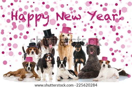 Happy New Year