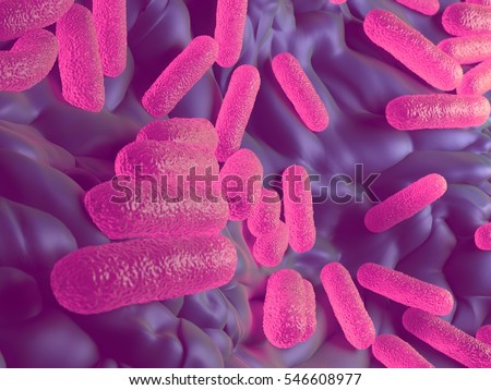 Salmonella Stock Images, Royalty-Free Images & Vectors ...