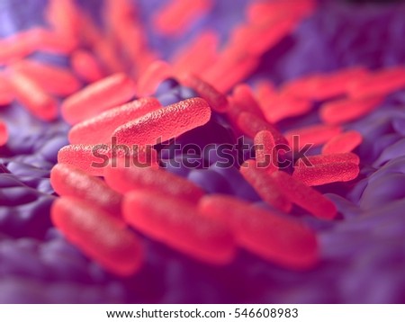 salmonella enternica S enterica subespecie enterica puede clasificarse en 1547 serovariedades o serotipos diferentes las serovariedades se distinguen por la reacción con antisueros. salmonella enternica S enterica subespecie enterica puede clasificarse en 1547 serovariedades o serotipos diferentes las serovariedades se distinguen por la reacción con antisueros.