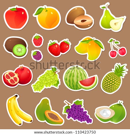 vector illustration of collection of various
