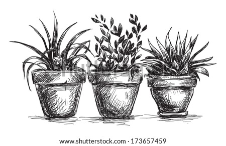 Flower Pots Sketch Stock Illustration 173657459 - Shutterstock