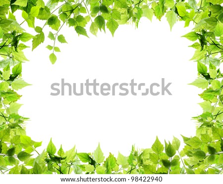 Leaf Border Stock Photos, Images, & Pictures | Shutterstock