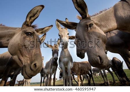 Download Curious Stock Images, Royalty-Free Images & Vectors ... Yellowimages Mockups