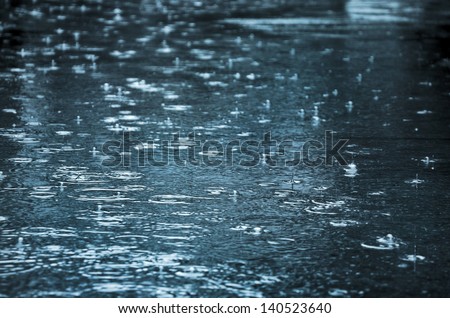 Rain Puddle Stock Images, Royalty-Free Images & Vectors | Shutterstock