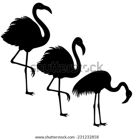 Flamingo silhouette Stock Photos, Images, & Pictures | Shutterstock