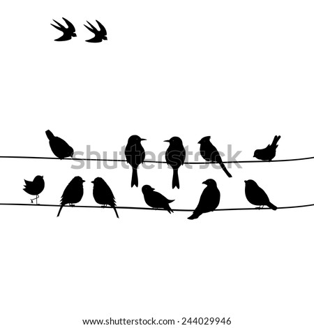 Cute Black Birds On Wire Stock Vector 244029946 - Shutterstock