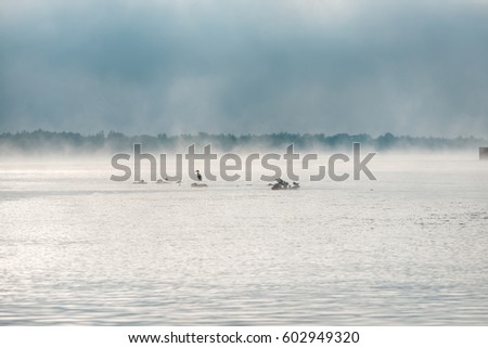 heron lake online dating Aol latest headlines, entertainment, sports, articles for business, health and world news. heron lake online dating Aol latest headlines, entertainment, sports, articles for business, health and world news.