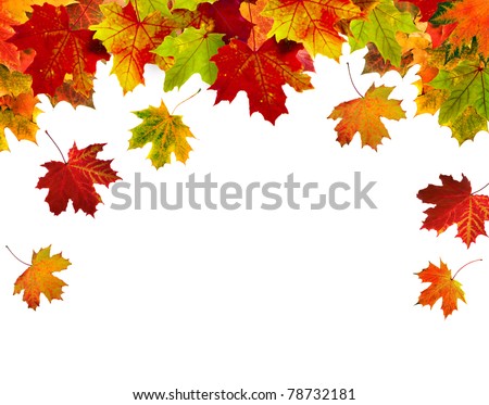 border frame of colorful autumn leaves isolated on white