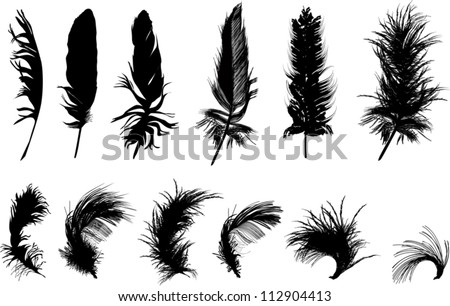 Feather Stock Images, Royalty-Free Images & Vectors | Shutterstock