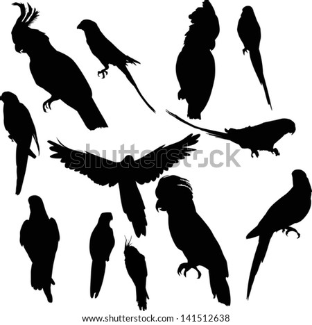 Parrot Silhouettes Collection Isolated On White Stock Vector 26757469 ...