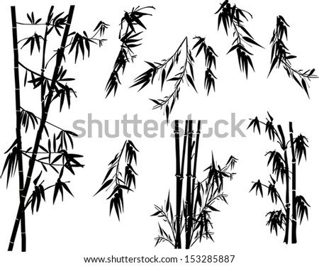 illustration with bamboo collection on white background