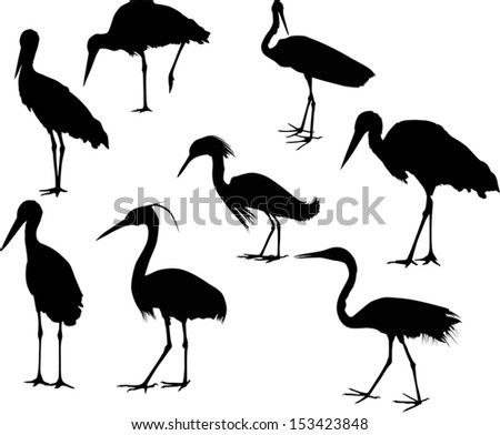 Heron Silhouette Stock Images, Royalty-Free Images & Vectors | Shutterstock