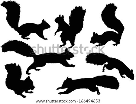 Download Squirrel Silhouette Stock Images, Royalty-Free Images ...