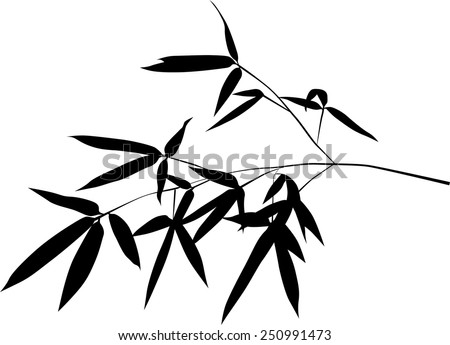 illustration with black bamboo branch isolated on white background
