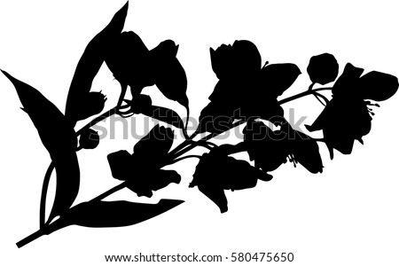 Flower Stem Stock Images, Royalty-Free Images & Vectors | Shutterstock