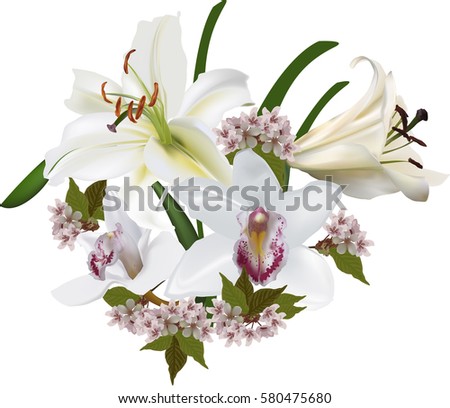 illustration with large orchid and lily flowers isolated on white background