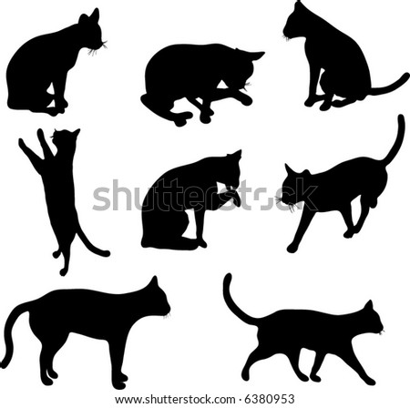 Cat and shadow Stock Photos, Images, & Pictures | Shutterstock