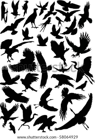 Illustration Black Birds Collection Stock Illustration 58064929 ...