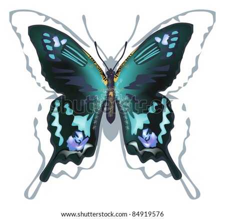 Vector Illustration Blue Butterfly Isolated On Stock Vector 55419043 ...