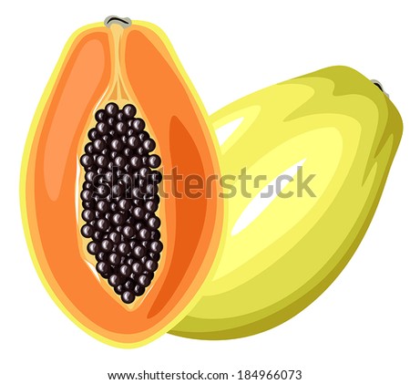 Cartoon colorful image papaya fruit