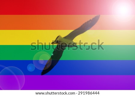 Descibing gay sex Gay men talk with me