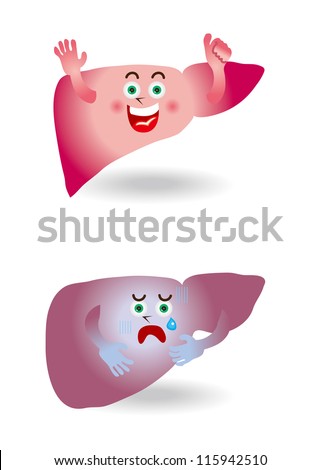 Healthy Liver Stock Images, Royalty-Free Images & Vectors | Shutterstock