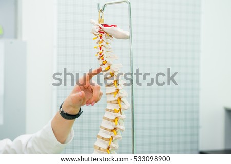 Closeup on medical doctor woman pointing on spine model