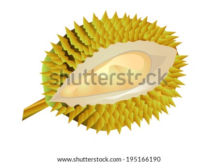 durian fruit