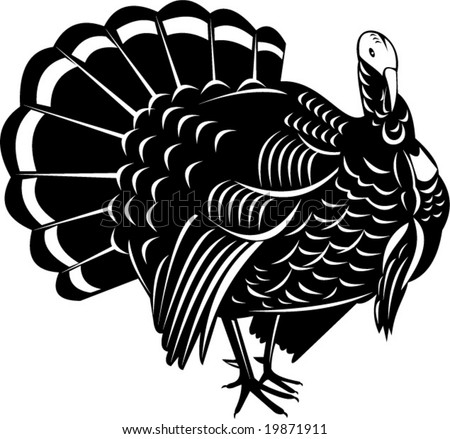 графика рисунок индюк птицы graphics figure Turkey birds без смс