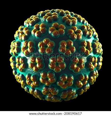 Hpv type 16