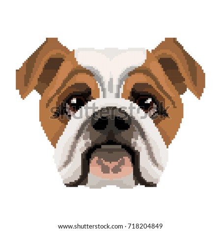 Vector Cute Bulldog Face Pixel Art Stock Vector 718204849 - Shutterstock