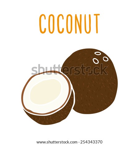 Coconut. Vector EPS 10 hand drawn illustration.