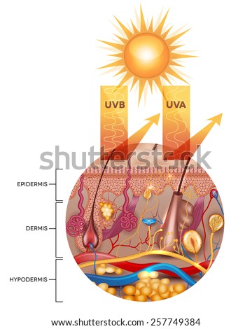 Undangan Sunatan Free Vector Download 2 Free Vector For