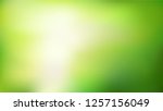 green nature blurred background.... | Shutterstock .eps vector #1257156049