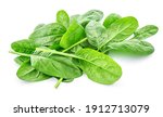 Spinach Leaves Isolated On...